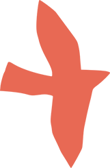 https://houseofmercy-fl.org/wp-content/uploads/2021/12/floating_image_02.png